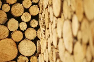 Stacked Logs Prints: Stacked logs