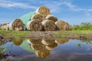 Images Dated 26th August 2024: Straw Bale Print with Reflection