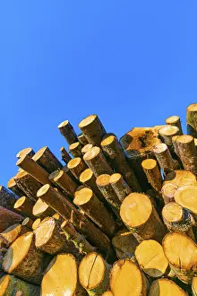 Blue Sky Austria Prints: Stacked tree trunks against a blue sky