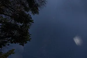 Starry Sky Austria Prints: Starry sky with trees, Ternitz