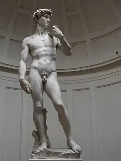 Michelangelo Buonarroti Artist Prints: Statue of David by Michelangelo