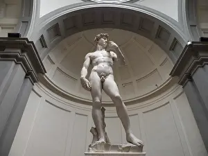 Michelangelo Statue Prints: Statue of David by Michelangelo