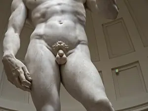 Southern Europe Cultural Heritage Prints: Statue of David by Michelangelo