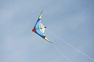 Deserted Sky Prints: Steering kite