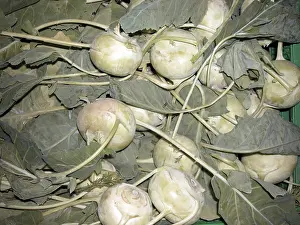 Green Vegetable Prints: Stem cabbage