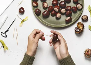 Recreational Activities For Kids Prints: Step 2 Insert the toothpick into the chestnut