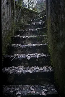 Second World War Bunker Prints: Steps up from the Cheneux bunker