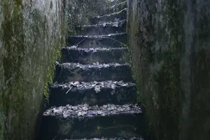 Second World War Bunker Prints: Steps up from the Cheneux bunker