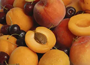 Stone Fruit Nutrition Prints: Stone fruit