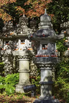 Osaka Prints: Stone Lanterns in Forest Sunlight Print, Osaka, Japan