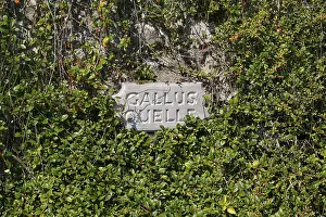 Baden Wurttemberg Germany Prints: Stone tablet at the Gallus spring