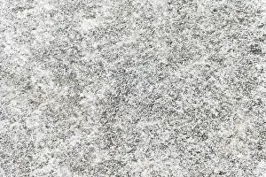 Deserted Stonewall Prints: Stone Wall