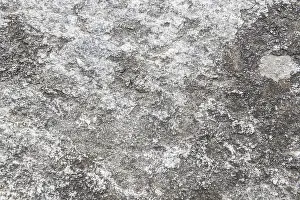 Deserted Wall Scene Prints: Stone Wall