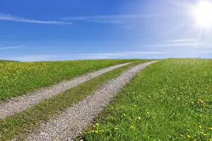 Country Lane Bavaria Prints: Stony field path through a spring meadow