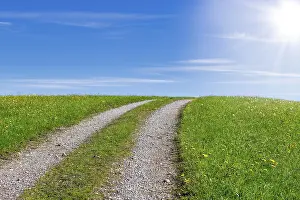 Deserted Country Lane Prints: Stony field path through a spring meadow