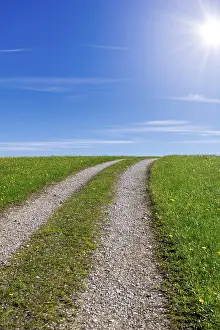 Blue Sky Cloudy Day Prints: Stony field path through a spring meadow