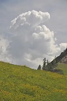 Cumulonimbus Clouds Europe Prints: Storm cloud, cloud, thunderstorm