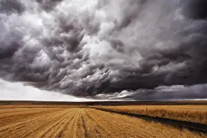 Storm Front Print: Montana Thundercloud