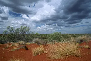 Western Australia Landscape Prints: Stormy clouds over the outback