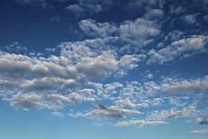 Fine Weather Images Prints: Stratocumulus clouds and blue sky