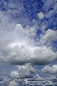 Low Angle View Of Clouds Prints: Stratocumulus clouds, Eckental