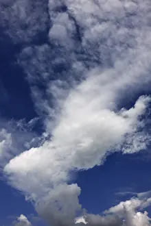 Low Angle Cloud View Prints: Stratocumulus clouds, Germany