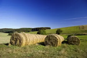 Straw Bales Prints: Straw bales