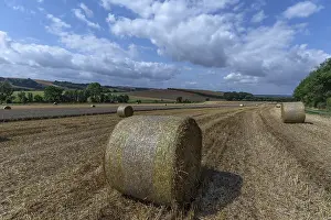 Thuringia Straw Bales Print