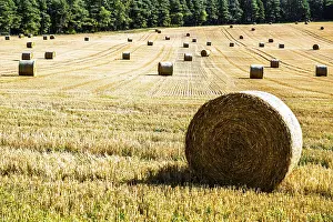 Empty Farm Fields UK Prints: Straw bales in the Scottish fields