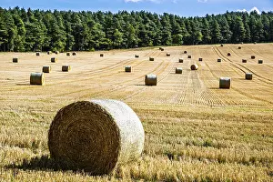 British Countryside Prints: Straw bales in the Scottish fields