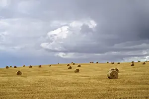 Scottish Farmland Prints: Straw bales on the Scottish fields
