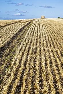Uninhabited Farm Land Prints: Straw bales in the Scottish fields