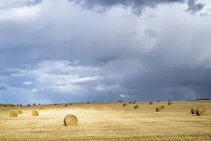 Agricultural Scenery UK Prints: Straw bales on the Scottish fields