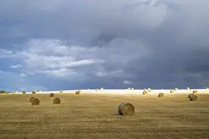Scottish Farmland Prints: Straw bales on the Scottish fields