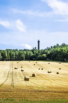 Scottish Farmland Prints: Straw bales in the Scottish fields