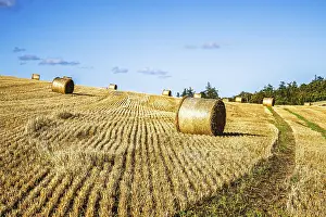 Uninhabited Farm Land Prints: Straw bales in the Scottish fields