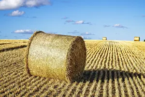 British Countryside Landscape Prints: Straw bales in the Scottish fields