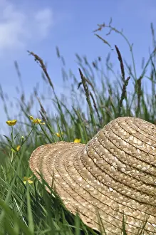 Uninhabited Grass Field Prints: Straw hat lying in a meadow
