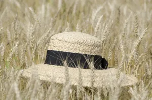 Farming Landscape Photography Prints: Straw Hat on the Wheat Field