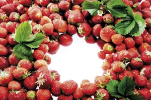 Studio Shot Strawberries Prints: Strawberries