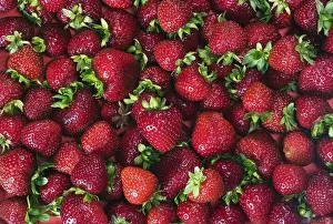 Healthy Eating Fruit Prints: Strawberries