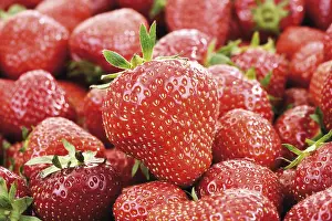 Fresh Strawberry Photography Prints: Strawberries, full-frame