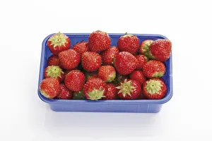 Studio Shot Of Berries Prints: Strawberries in a plastic box