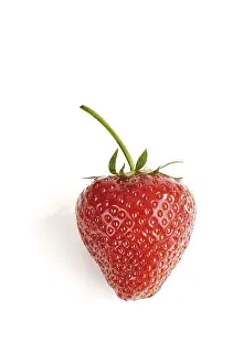 Fresh Strawberry Cutout Prints: Strawberry