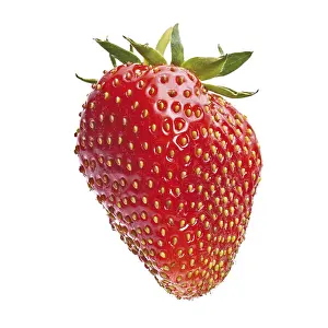 Red Strawberry Prints: Strawberry