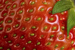 Strawberry Close Up Prints: Strawberry