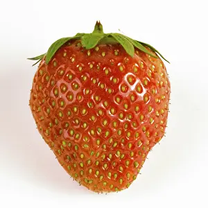 Fruity Food Photography Prints: Strawberry
