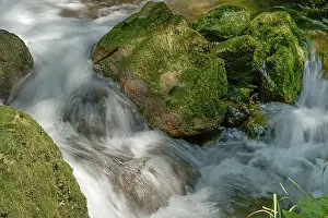 European Nature Park Prints: A stream flows over moss-covered rocks