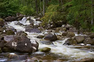 Scottish Countryside Scenery Prints: A stream flows over rocks through a green