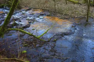 Central Europe Rivers Prints: Stream with icing, Egloffstein